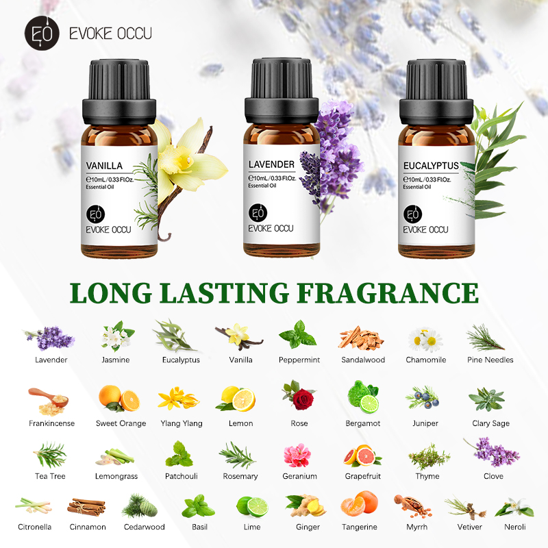 EVOKE OCCU 10 مل زيت طبيعي، زي - مراجعة Soap Making Fragrance وسعره