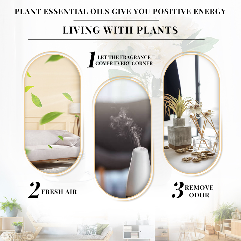 EVOKE OCCU 10 مل زيت طبيعي، زي - مراجعة Soap Making Fragrance وسعره